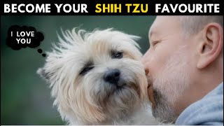 How Shih tzu Choose Their Favorite Person  Finally Secrets Revealed [upl. by Bearnard]