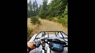 2024 Yamaha Grizzly 700 SE First Rip yamaha grizzly700 atv quad [upl. by Nesaj231]