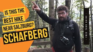 BEST HIKES in Austria How to hike Mount SCHAFBERG in the Salzkammergut Lake District near Salzburg [upl. by Naneek]