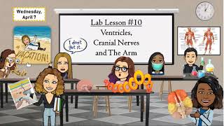 Lab Lesson 10  April 7 [upl. by Maritsa]