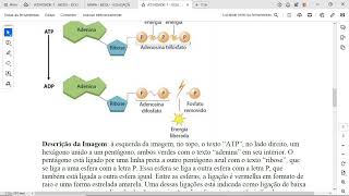 O ATP Adenosina Trifosfato é descrito como uma “moeda energética” por ser a molécula que fornece [upl. by Asillem]