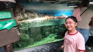 Exploring Oceanarium 🐠🐟🐡🦈  All About Zoey [upl. by Sigismondo]