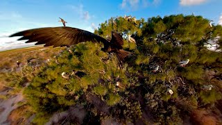 Interior of Kamole Laysan Island in 360° [upl. by Semadar466]