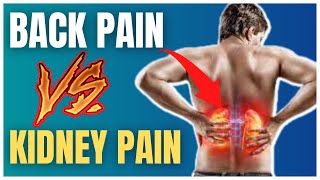 Kidney Pain vs Back Pain HOW TO TELL WHICH IS WHICH [upl. by Shanan]