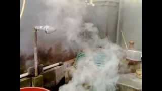 My Homemade Mosquito Fogger  Thermal Fogging Machine buatan sendiri [upl. by Janaye]