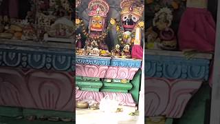 Jaijagannath bhakti odia krushna love shortsviral bhaktidhara [upl. by Daitzman]