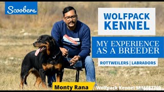 All About Breeding Experience  Wolfpack Rottweiler And Labrador Kennel  Monty Rana  Scoobers [upl. by Bautram]