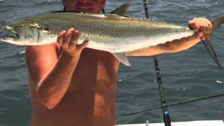 Costa Rica Inshore Fishing Los Suenos on Dream Raiser [upl. by Aufmann]