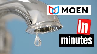 Stop a Dripping Single Handle Bathroom Faucet  Moen Washerless [upl. by Pinkham326]