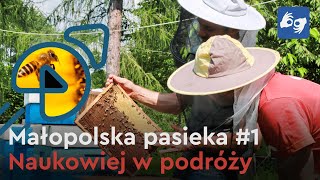 Pracowite pszczoły i leniwa kula  budowa ula [upl. by Robertson55]