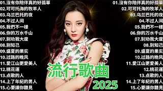 2024最新歌曲 ▶️ 大陸流行歌曲 2024流行歌曲 ⏩ 無廣告 🎶 2024流行歌曲  沒有你陪伴真的好孤單 可可托海的牧羊人 乌兰巴托的夜 [upl. by Edlun]