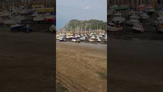 Ilfracombe HarbourFriday 20th September 2024 [upl. by Adidnere]