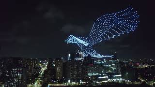 Chinese dragon drone light show supplier [upl. by Eidissac]