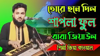 তোরে হনে দিল শাপলা ফুল বাবা জিয়াউল Bhandari Song 2024 শিল্পী জিয়া কাওয়াল bb Bhandari gaan 72 [upl. by Rastus762]