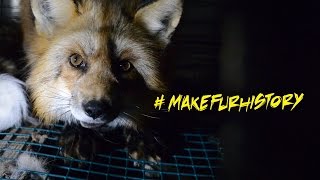 Exposing the Fur Industry [upl. by Enelyahs839]