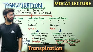 Transpiration in plants  NMDCAT 2021 [upl. by Godding]