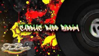 Cardiac Bass Riddim  Lovers Selection  Reggae  2010  Mix By Floer [upl. by Olivia]