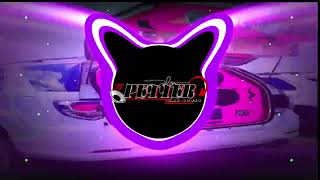 MEDELLÍN CRIS MJ DOBLE TONO DJ PETTER CAR AUDIO 💥🔥 [upl. by Arratal]