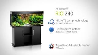 Juwel Aquarium Rio 240 [upl. by Naleag752]