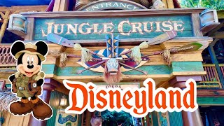 Jungle Cruise Full Ride  Disneyland 2024 [upl. by Nylidam]