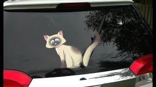 Wagging Cat and Waving Kitten WipurrTag Designs for rear vehicle wiper blades by WiperTags [upl. by Stillas138]