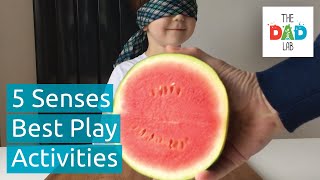 Five Senses Activities Ideas for Kids [upl. by Fleisher39]