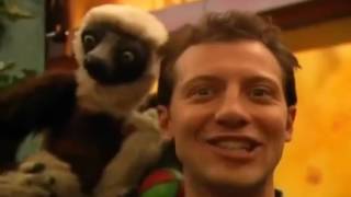 Zoboomafoo Cap 06 Vamos a Nadar [upl. by Horacio506]