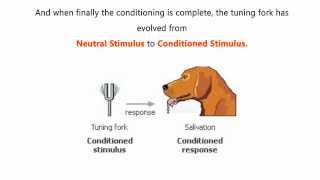 Classical Conditioning  Pavlovs Experiment [upl. by Bearce]