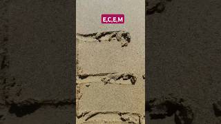 ECEM [upl. by Boylston]