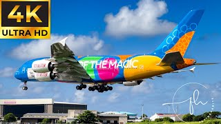 Plane Spotting 2023 Mauritius  MRU  A380 A330Neo B787 A340 B777 B737 [upl. by Nwonknu206]