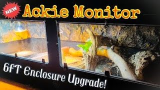 New 6x2x2 Ackie Monitor Enclosure [upl. by Alleira]