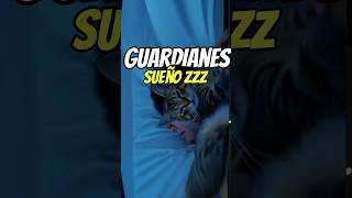 gatos son considerados los guardianes del sueño 💤🐾 [upl. by Eledoya]