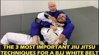 The 3 Most Important Jiu Jitsu Techniques For A BJJ White Belt by John Danaher [upl. by Varin804]