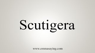 How To Say Scutigera [upl. by Balas]