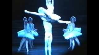 le lac des cygnes sylvie guillem nicolas le riche opera de paris cygne blanc acte 2 [upl. by Rahm]