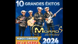 10 éxitos de los Morros sierreños  puros corridos de la sierra 2024 [upl. by Lhadnek]