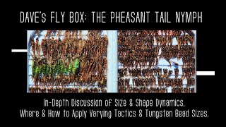 How to Fish the Pheasant Tail Nymph  A Deep Dive Into Everything You Need to Know to Be Successful [upl. by Fogarty]