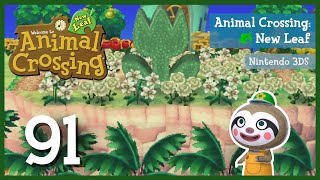 91  Die letzten Stadtverschönerungen  Animal Crossing New Leaf [upl. by Schild]