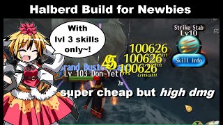 SUPER CHEAP Halberd Build for Newbies No Lvl 4 Skills  Toram Online [upl. by Rehportsirhc459]