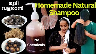 Chemical free Homemade Natural Shampoo❤How to prepare soap nut Natural Shampoo❤Best natural shampoo [upl. by Zinck]