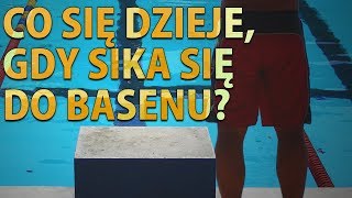 Co się dzieje gdy sika się do basenu [upl. by Vihs]