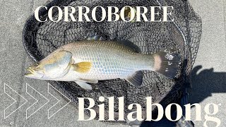 The Iconic Corroboree Billabong [upl. by Pace372]