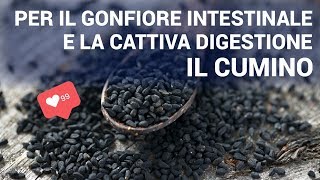 Cambia vita con calma  Cumino cura tutto tranne la morte [upl. by Lynnett]