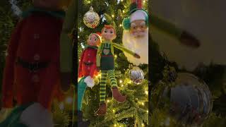 Cheeky Buggers christmas christmasdecorations christmastree christmastime christmasgifts elf [upl. by Ecnerolf]