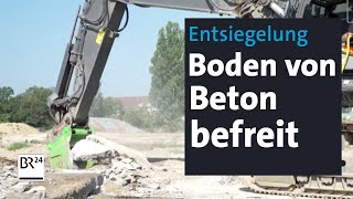 Boden von Pflaster oder Beton befreien Entsiegelung als zweitbeste Lösung  Abendschau  BR24 [upl. by Adelbert846]