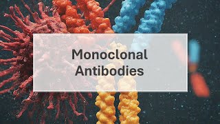 Monoclonal Antibodies By Anandita Jha  Monoclonal Antibodies  Immunology [upl. by Ringe671]