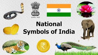 National Symbols Of India  भारत के राष्ट्रीय प्रतीक  National Symbols Of India in Single Video [upl. by Naivaj]