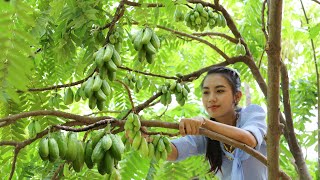 Pick Bilimbi fruit in my homeland and cooking soup with fish  Healthy food [upl. by Nede]