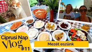 Ciprusi Nap Vlog 11 – Gyere Μeze 🙂🍴 [upl. by Nylevol]