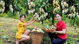 Harvest Mango Garden Goes To The Market Sell  Make Pickled Mango  Hanna Daily Life [upl. by Sesiom568]